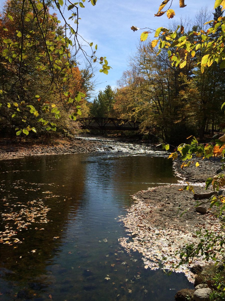 PrimaLoft's tweet photo. #HappyFriday! Who's looking for an #adventure this #weekend? #nature #beautiful #hiddenbridge #upstateNY #nofilter http://t.co/nlt9eP3cNC