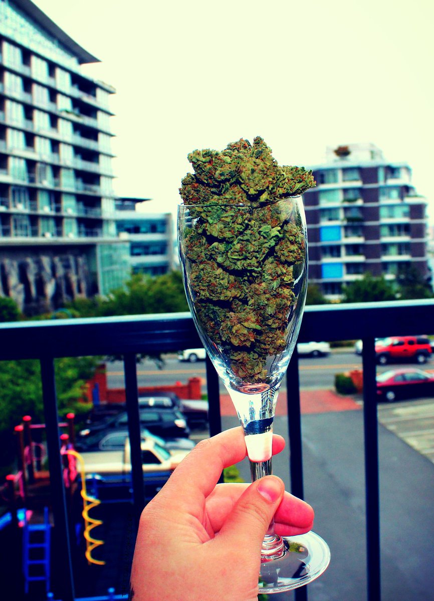 anicolesaysss's tweet photo. β@FemaleStoners: #HowToGetTheBitches http://t.co/i8yPqbs42Mβπ