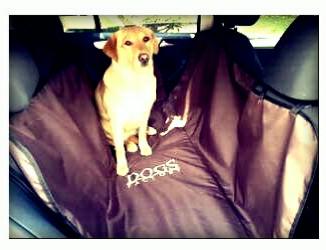 dogsfactory's tweet photo. @CompraVentaDF aprovechen buen fin-20% de descuento en la compra de su protector, negro,cafe y gris solo $390,x fa RT http://t.co/MJ5bTC71m6
