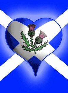 pmurphyYourMove's tweet photo. My God I love being Scottish at times #SCOvROI http://t.co/F2TB7KQuPs"