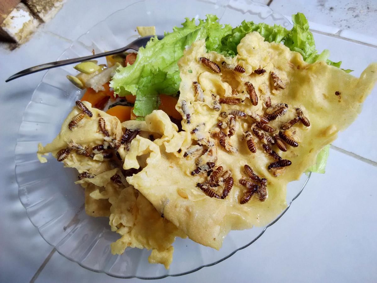 roniertanto's tweet photo. Peyek Laron. Ada yang mau? :D  #WikenWithMi #Redmi1S @MiOfficial_ID http://t.co/4Tq3tupFPY