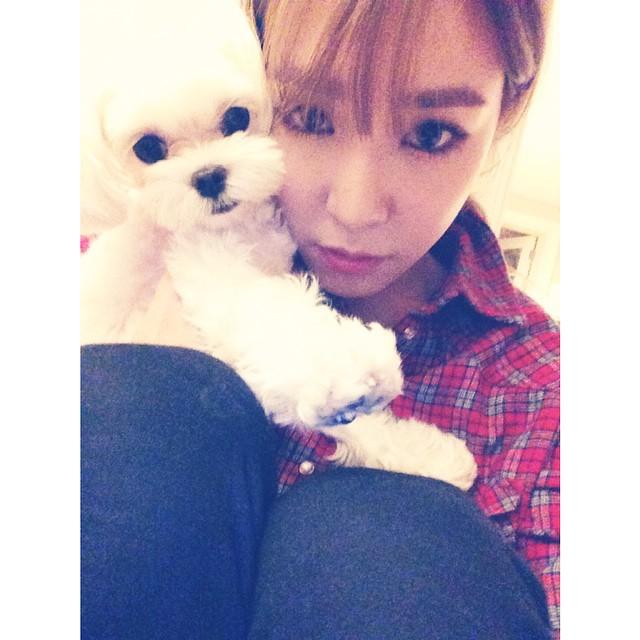 miyoungstagram's tweet photo. [INSTAGRAM] xolovestephi: #staywarm
#princefluffy
#cutestdogintheworld http://t.co/2vzqn78M2X http://t.co/xzKdWPjBVY