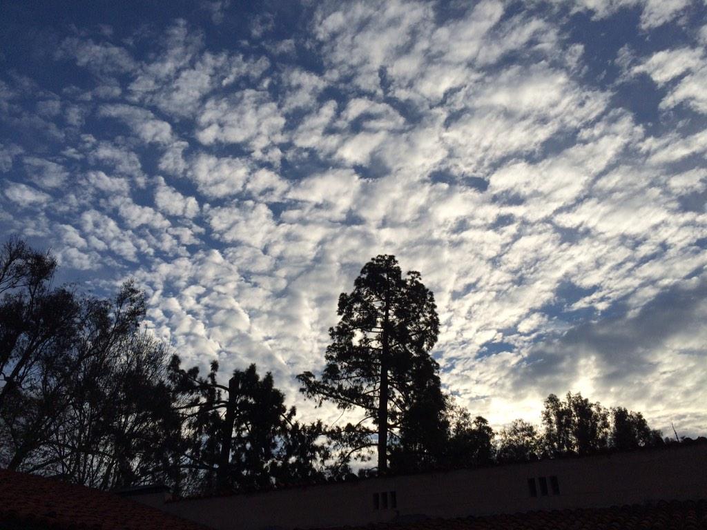 graayreaal's tweet photo. hello cold. ive missed you. http://t.co/RDOtruC41A