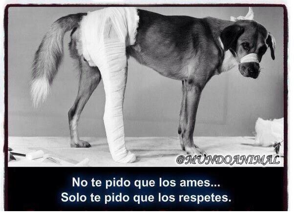 AnimalPlanetPic's tweet photo. Lo mismo te pido a ti. http://t.co/NpsqMQSy5j