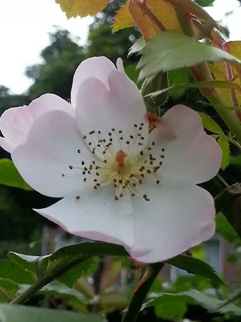 Madhusudan222's tweet photo. @gsushma55 http://t.co/sn8gLvSxkE