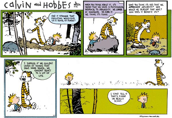 Calvin and Hobbes. 