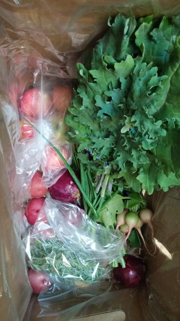 LLog14's tweet photo. @ChowLocally Great produce in my box this week. Excited for some weekend cooking 😀 http://t.co/qw9F1JMiZz