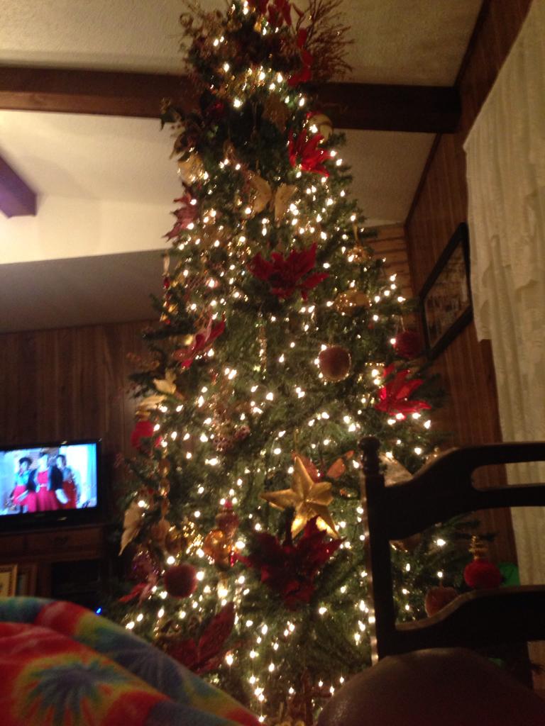 cassfly's tweet photo. tree is finished 😍 well one of them anyways 😂 #WeHave5 http://t.co/7oiZTWbGPF