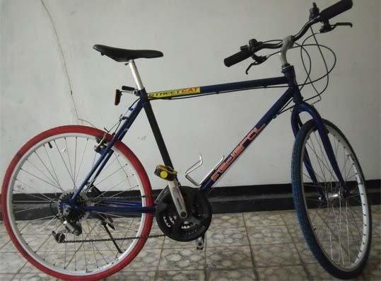 Rata rata sepeda kayak gini disebut "Pit" Federal... Padahal yaa 90% Mereknya bukan Federal... Cc <a href="/B2WIndonesia/">Bike2Work Indonesia</a>