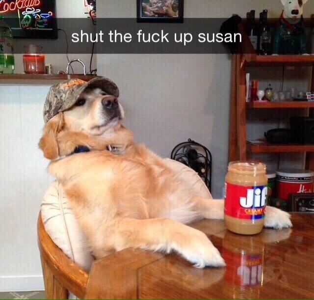 CaptionedPics's tweet image. 