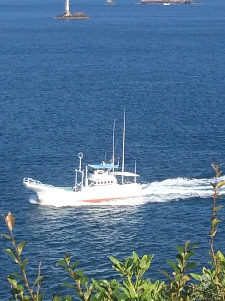 SeaShepherd404's tweet image. Number 12 now headed into port, no dolphins slaughtered or captured today. Blue Cove day! 9:54am #tweet4taiji