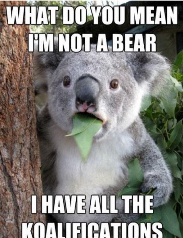 CaptionedPics's tweet image. Why I want to visit Australia 🐨