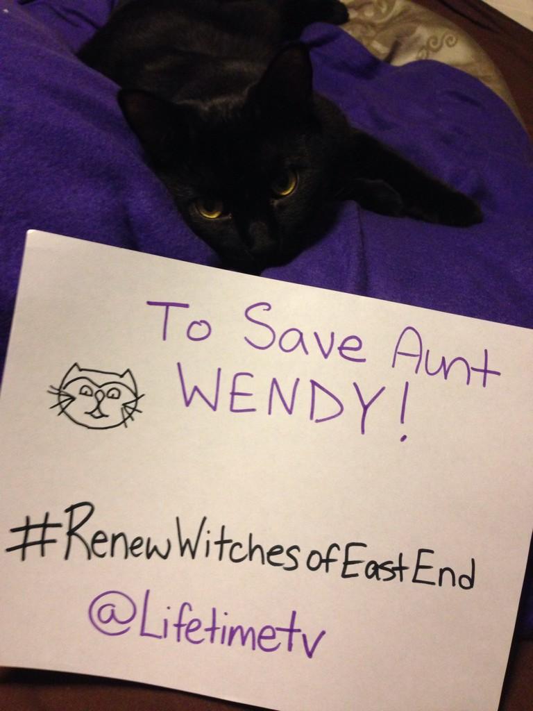 lizjoannasmith's tweet photo. @auntwendythecat @lifetimetv #RenewWichesOfEastEnd Purrty Please! Save Aunt Wendy! Save the Magic! http://t.co/L5sU5JMAi6