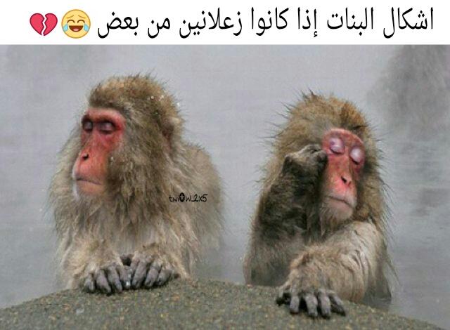 w_2x5's tweet photo. °. 

 البنات لو زعلانين من بعض 😏😅 

. http://t.co/amUt51E1SP