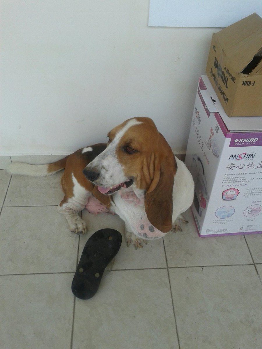 casenseas's tweet photo. http://t.co/6gdmipCW5U