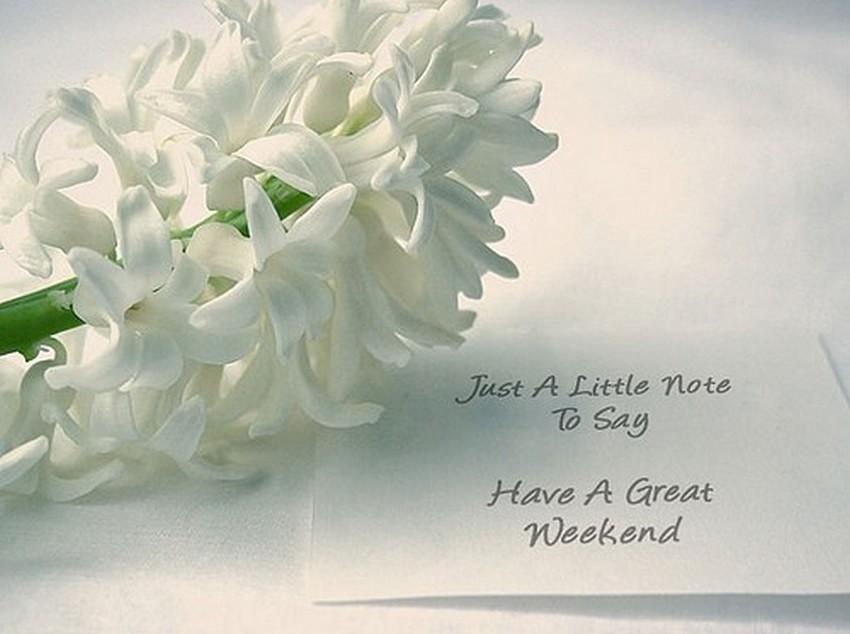 Exquisite_Wren's tweet photo. http://t.co/omF0o7iW1t