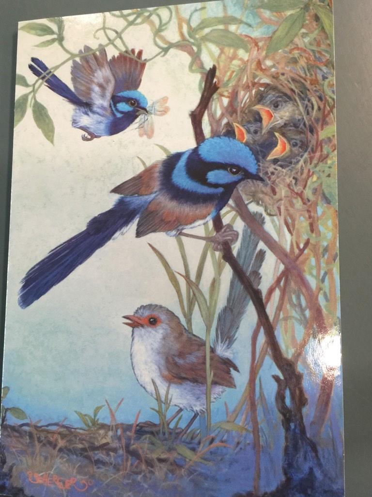 kanjhiba's tweet photo. The community spirit of Guildford that celebrates 50 years this year. @parracity #libraryact75th #saturdaylibrarian http://t.co/wRbbAN3ANI