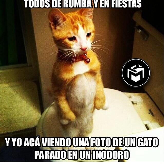 memer24's tweet photo. Asi estoy http://t.co/CQbHfKmsnt