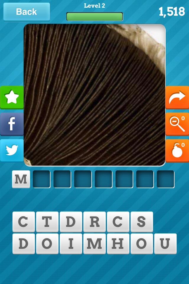 guy_karim's tweet photo. Can anyone guess what this close up is of? #CloseUpPics for iOS: http://t.co/njvd0UkfKw http://t.co/LggUigvUEe