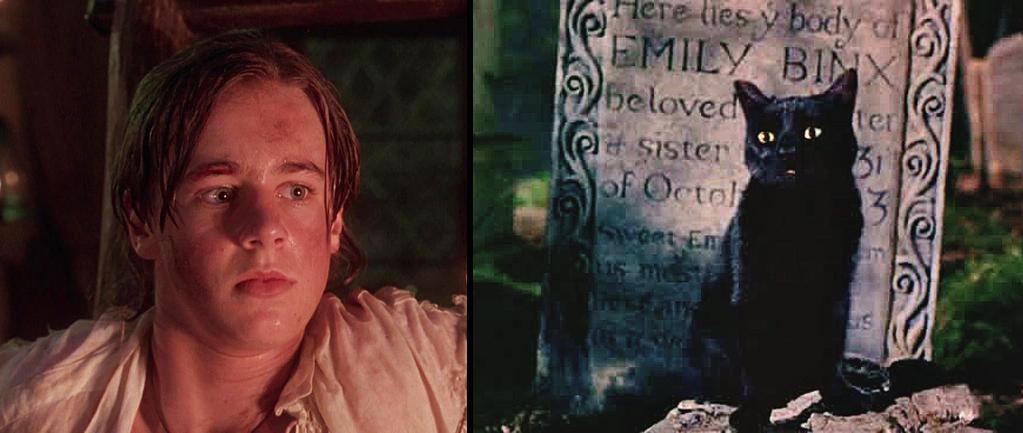 Happy Birthday, Sean Murray! (November 15, 1977)
Thackery Binx in Hocus Pocus (1993). Cat voiced by Jason Marsden. 