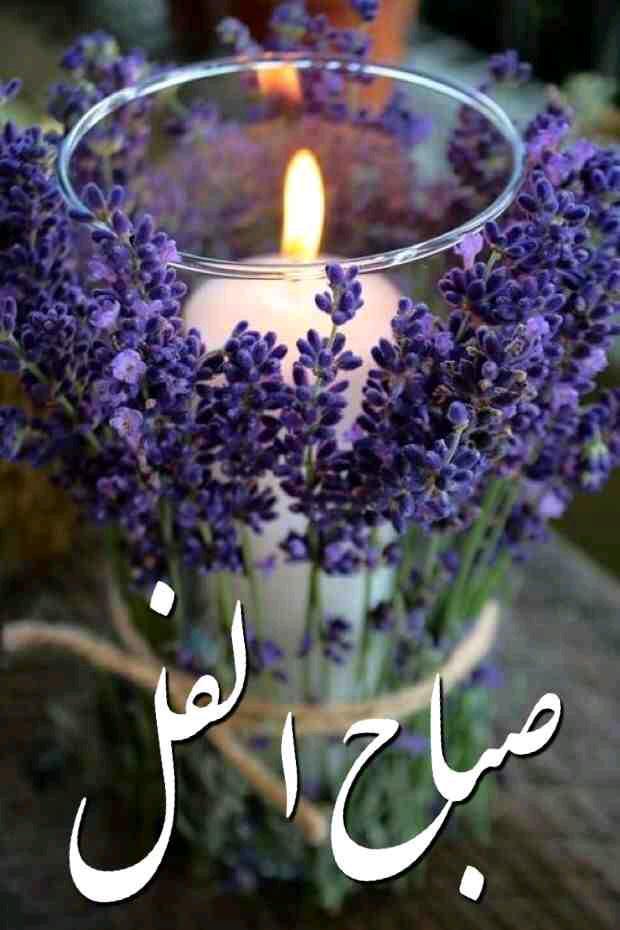 soosno80's tweet photo. http://t.co/yZ0YH5a8Ys
