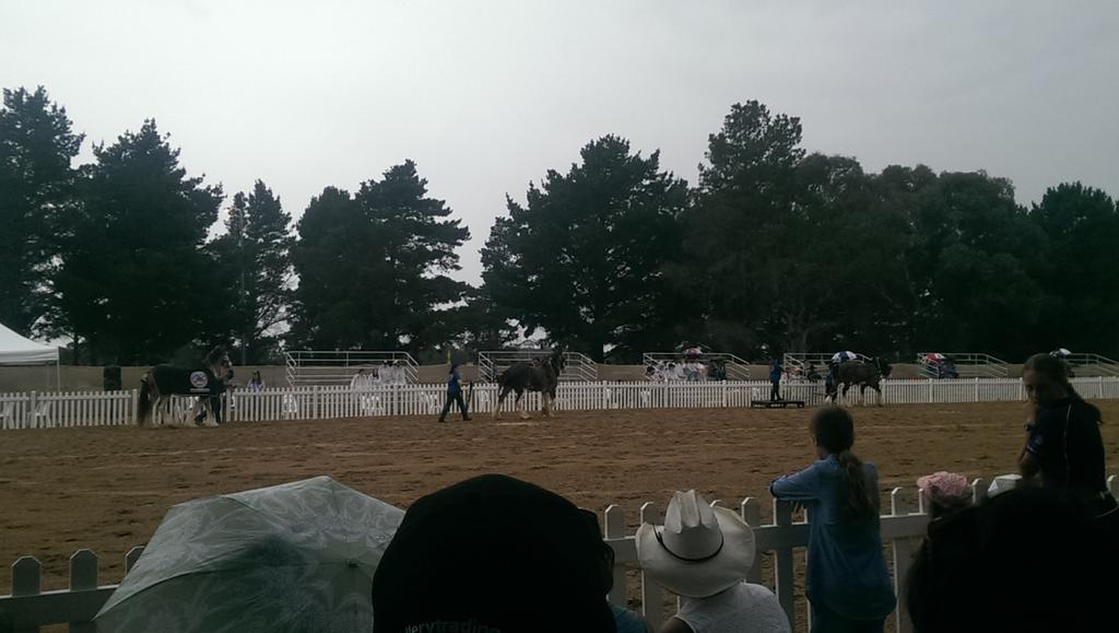 Unbridled Festival tweet media