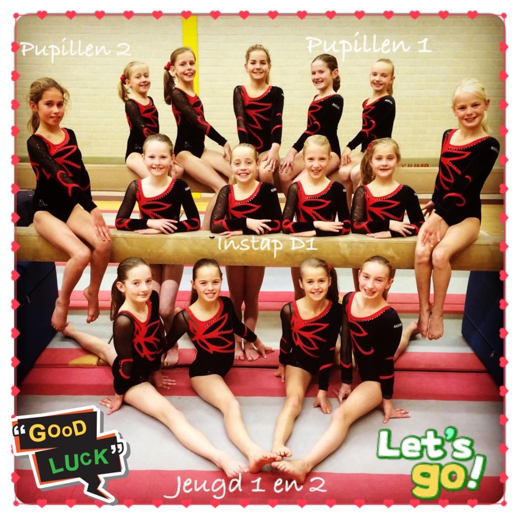 RadugaEnter's tweet image. Raduga 3e divisie turnsters hebben vandaag hun 1eplaatsingswedstrijd van het seizoen in Almelo! Meiden Succes 👍