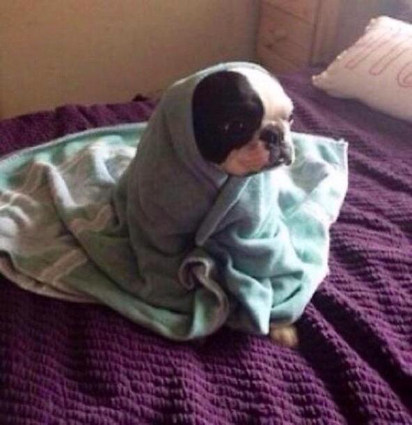BaeFeeIing's tweet photo. when you gotta get up for school and you sit on the bed for 20mins like http://t.co/hxf3raWqDB