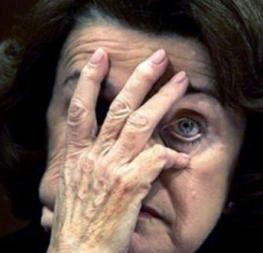 Chicom Diane Feinstein caught talking on iPhone to  Iranian foreign minister