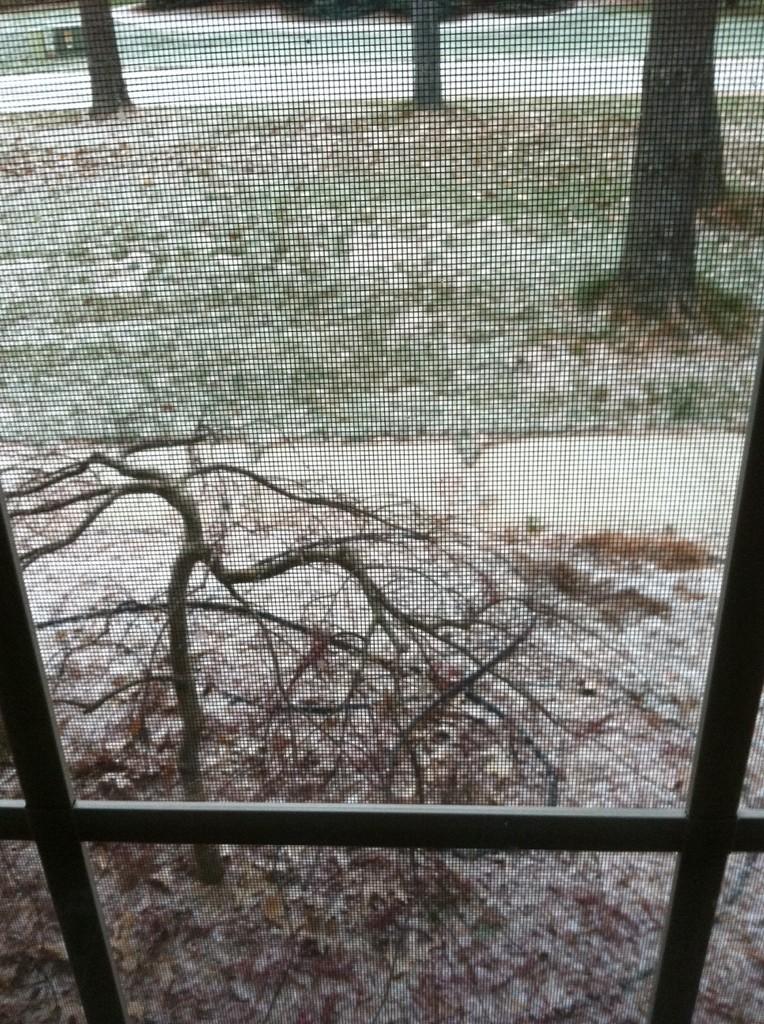 ShadowForgotten's tweet image. Fuck. No. Why.