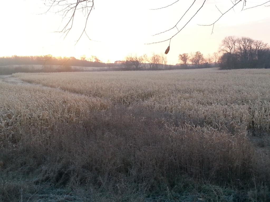 Mark McConnell (@222a27ddfa574b2) on Twitter photo 