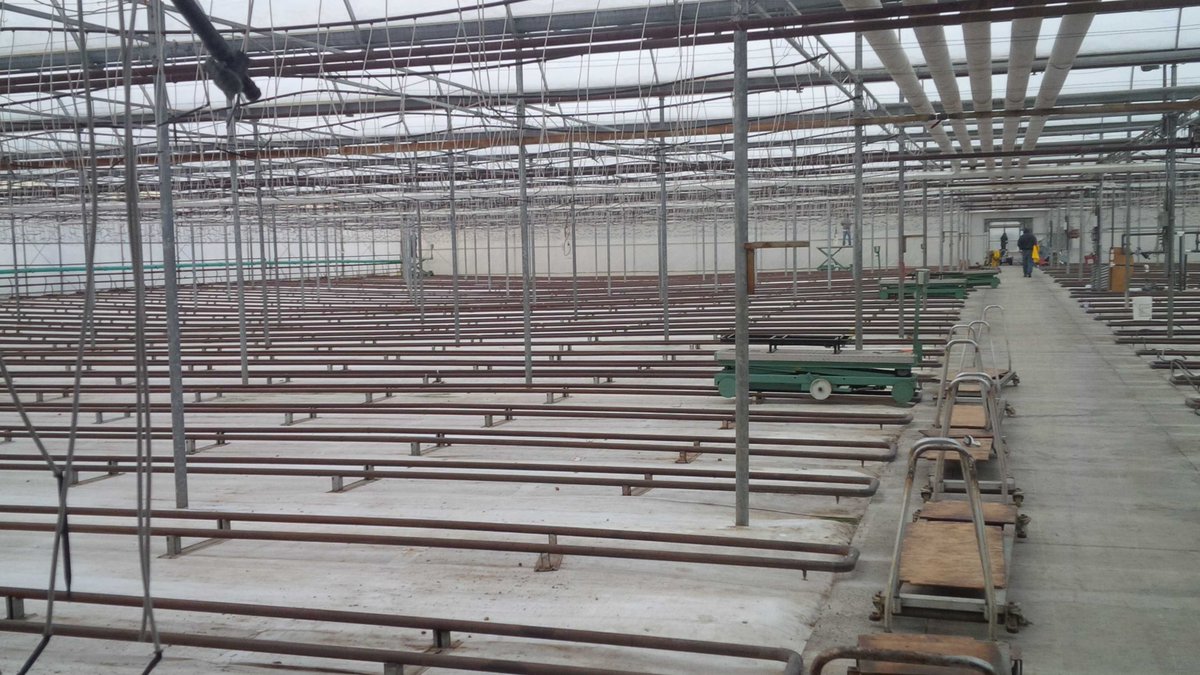 NickMulders13's tweet image. Greenhouse is finally empty, now to wash everything down #nomoretomatoes