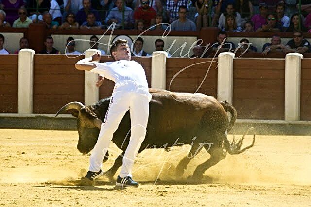 AdrianLambas's tweet photo. Valladolid i medina del campo http://t.co/GPqPotKBJv