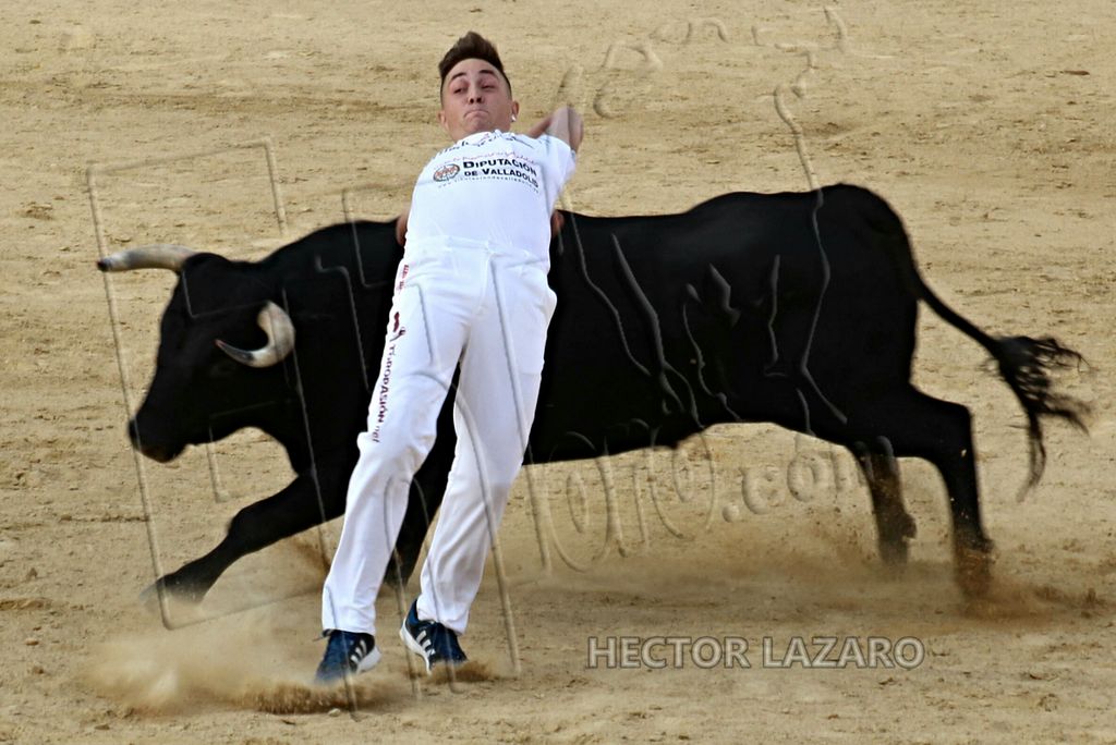 Valladolid i medina del campo