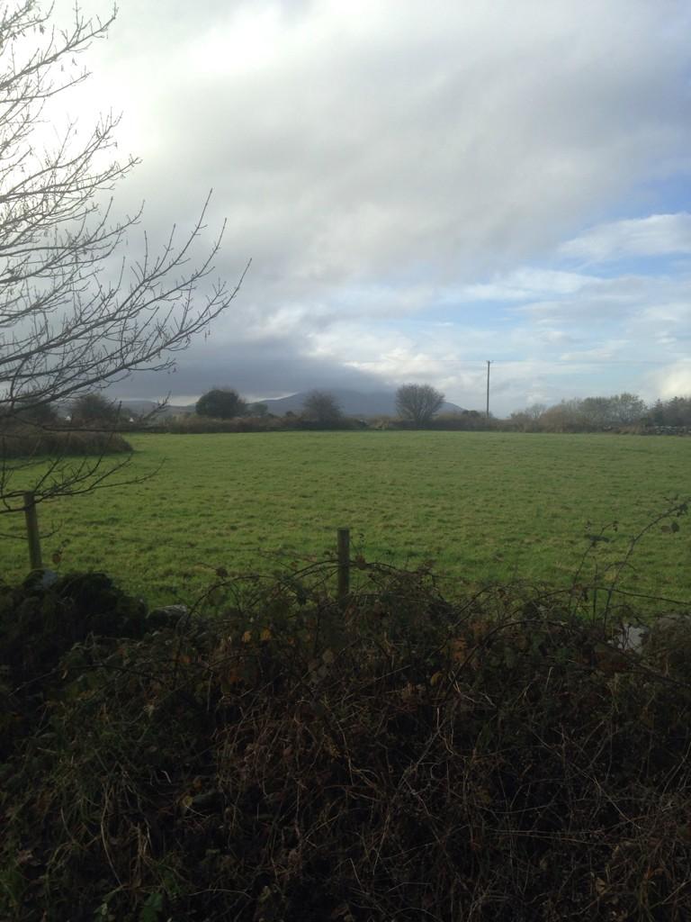 Jason O Brien, tweet media