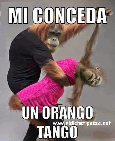 aida mancini (@aidamancini) on Twitter photo 