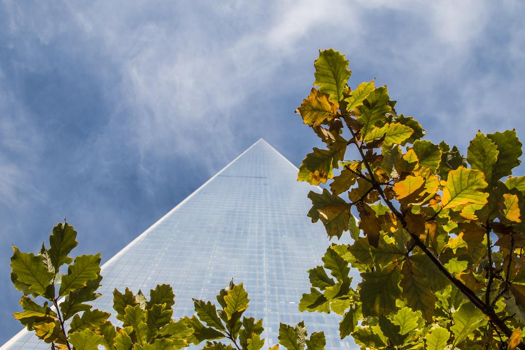 WTCdevelopment's tweet photo. Welcome autumn #NYC #newyork #wtc #wtcdevelopment #one #tower #onewtc #beautiful #rebuilding #remember #NY http://t.co/whuUogGiOi