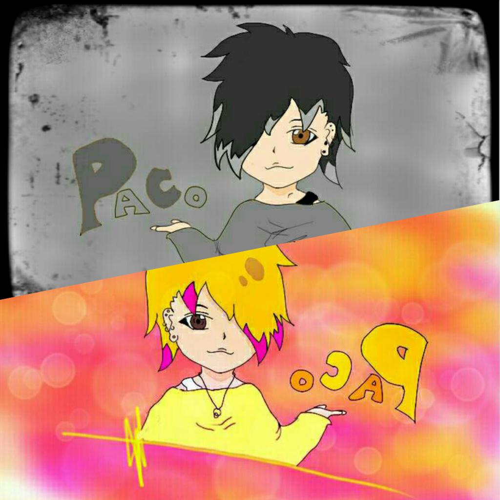 ぱこさん Paco Tama Twitter