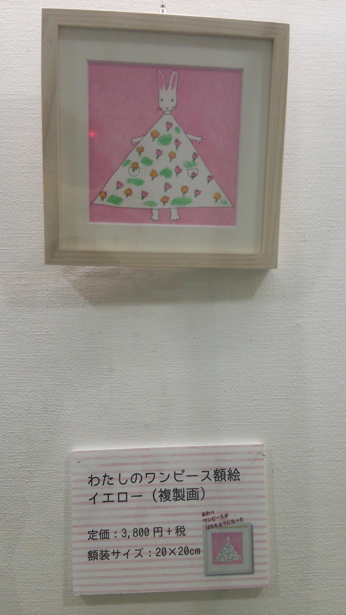 つづきの絵本屋 - 入荷しました！ 50周年記念限定 GIFT BOX