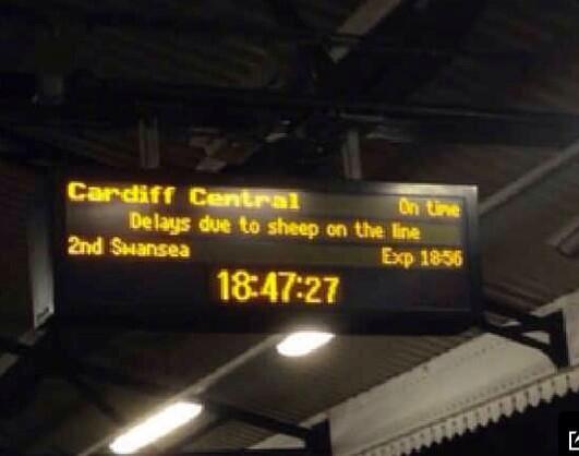 Welsh Problems tweet media