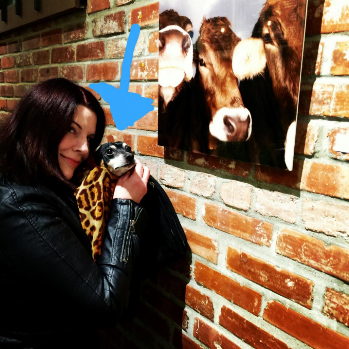 juliefogg tweet picture