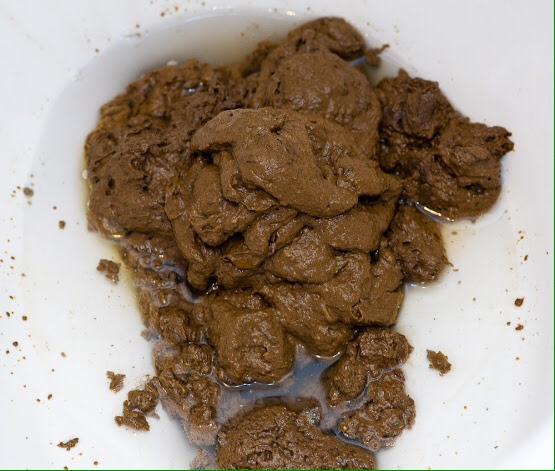 FuckAllKnowners's tweet photo. @Ascend_Breh I found Infa in my toilet http://t.co/JEVRkjxzAG