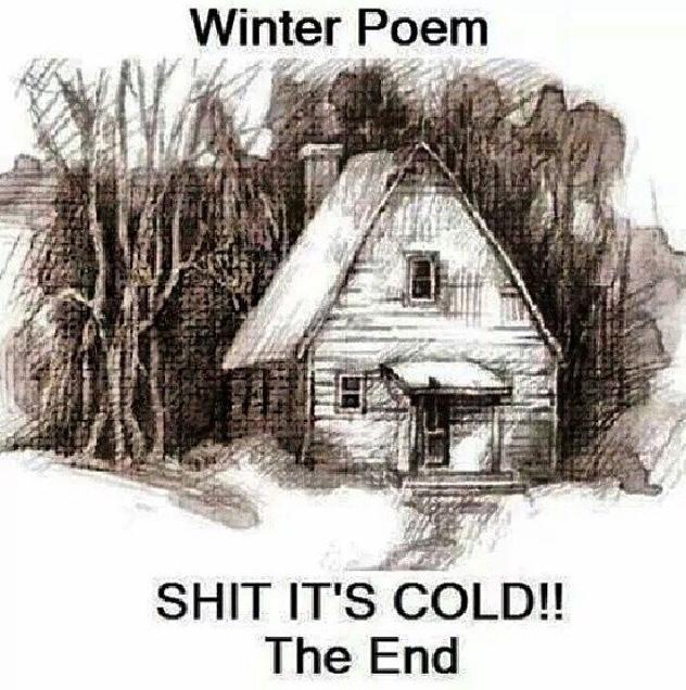 NikkiSixx's tweet photo. Took #LeicaSixx for a walk this morning and was thinking this and then a fan posted this.Thought I’d share. http://t.co/8ybzn9jqY8