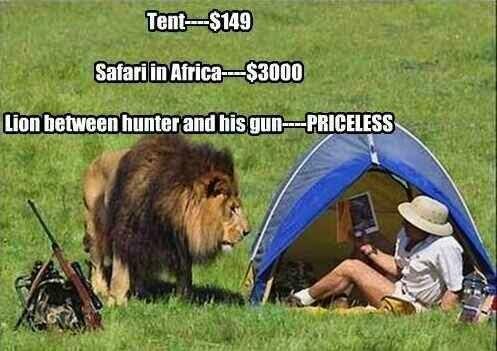 Protect_Wldlife's tweet photo. One Word - PRICELESS!!  #ifonly http://t.co/KJAOlq7i8m