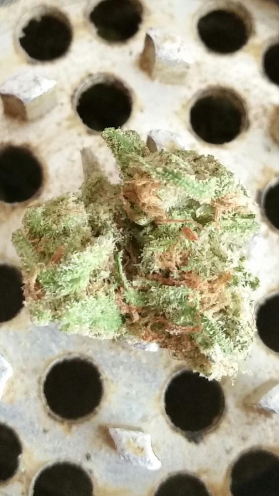 Potnonymous's tweet image. wake&amp;amp;bake