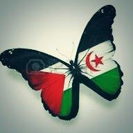 marioo_ps's tweet photo. SÁHARA LIBRE http://t.co/t004W5tjDK