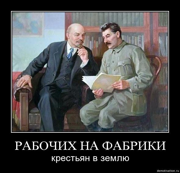 Даша Цой (@inefurrow) on Twitter photo 