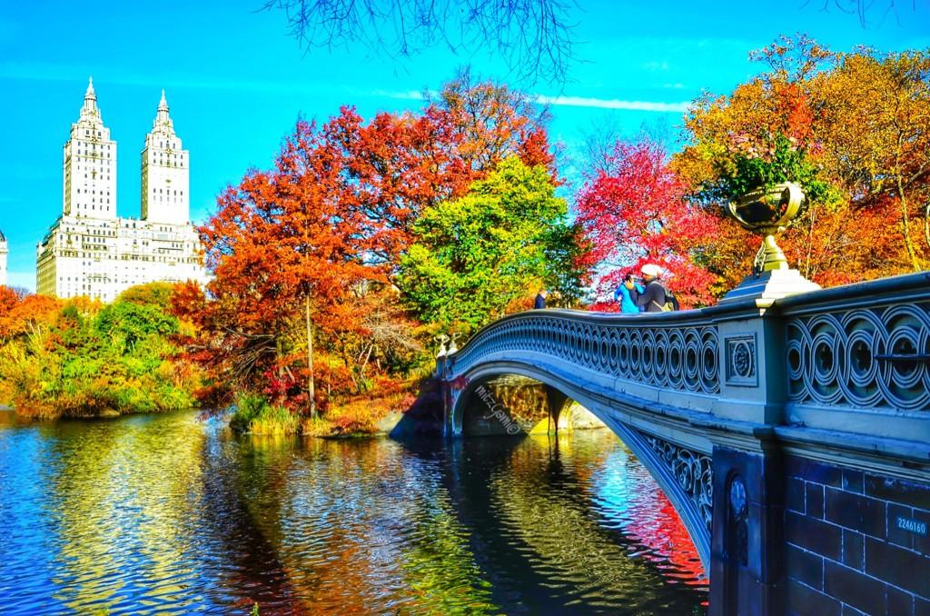 RT <a href="/mitzgami/">RosalieQD</a>: #Fall has always been my favorite season🍁🍂🍃 #centralpark #NewYork #nyc #newyorkcity @blujayrain #autumn