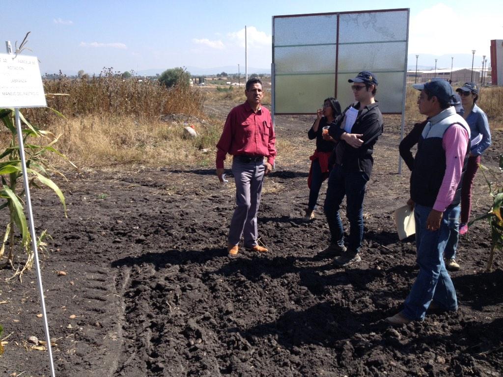 PlataformasGTO's tweet photo. Visita @BramACCIMMYT plataforma ITRoque, Apaseo el Alto. @MasAgPlataforma @MasAgroGto @ACCIMMYT @SDAyR_Gto http://t.co/L47p0E4xVG