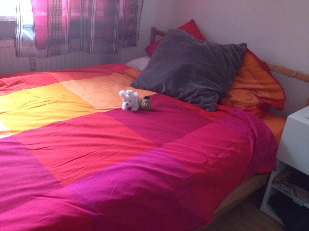 martulingers's tweet photo. Alguien me espera en mi cama...💗 http://t.co/Ko1QgUbmyt